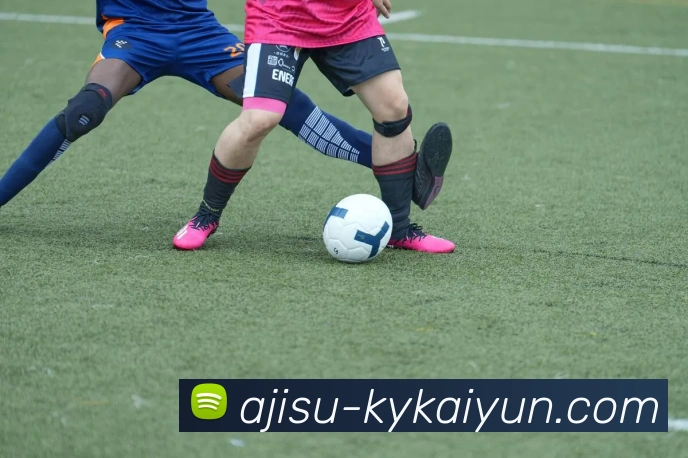 开云官方网站发展历程